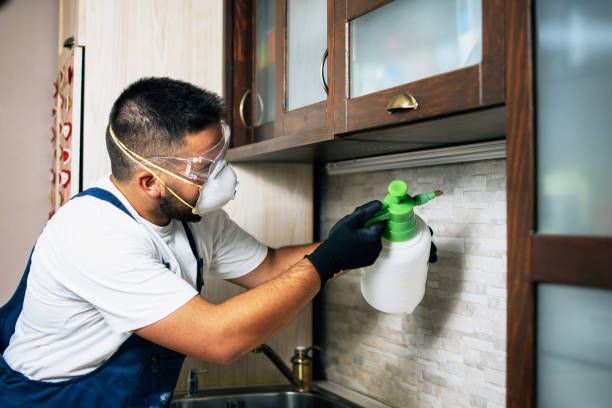 Pest Control for Restaurants in Cutler Bay, FL