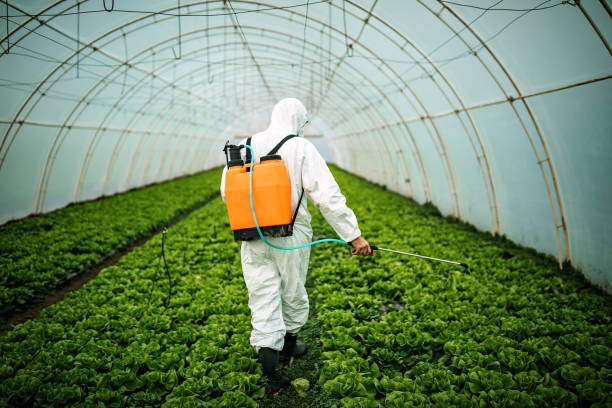 Best Residential Pest Control  in Cutler Bay, FL