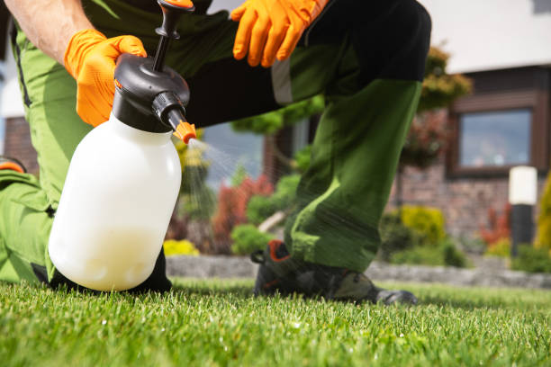 Best Ant Control Services  in Cutler Bay, FL