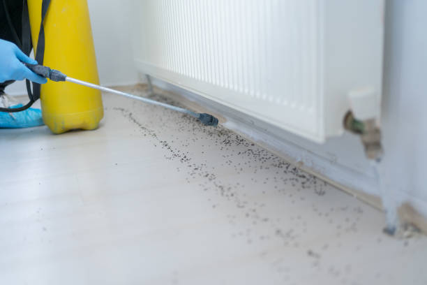Best Pest Control for Restaurants  in Cutler Bay, FL